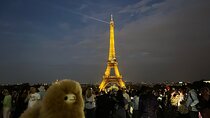 Private Paris City Night Sightseeing Tour - Sparkle Eiffel Tower