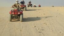 Discover the Best of Sharm : Quad, Camel, Dinner and Shows