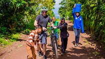 1-Day Moshi Villages bike tour