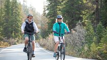 Small Group E-Bike Tour the Banff Local Explorer