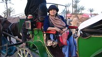 1-Hour Horse Carriage Drawn Marrakech City Tour