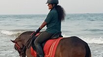 Private Horse Riding in Mount Lavinia