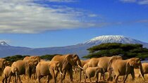 Private 3 Days 2 Nights Amboseli National Park Tour