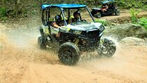 Puerto Vallarta Jungle Tour or RZR + Tequila