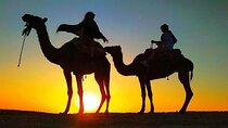 Dinner Under the Stars Desert Agafay & Sunset Camel Ride 