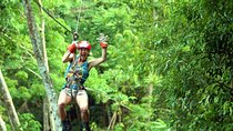 Krabi's Tropical Rainforest Canopy Zipline Adventure