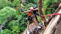 Half Day Zipline and Rainforest Exploration in Krabi