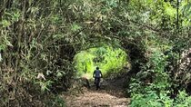 3-Hours Private Mountain Biking in Galle
