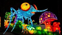 Visit Dubai Garden Glow with Optional Pick up and Drop off