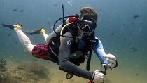 PADI Discover Scuba 3 Times Diving Phuket