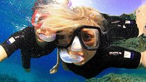 Tiran Island Snorkeling Experience by Yacht Sharm El Sheikh