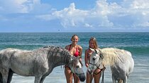 7-Day Yoga In Harmony with Horses Private Guided Activity