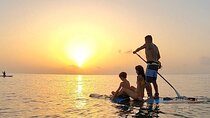 Sunrise Paddle Surf