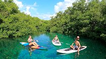 Paddle and Snorkel in Cenote - Riviera Maya