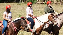 2 Hour Private Horseback Riding in Tarcoles Costa Rica
