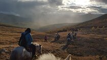 5 Day experience how to ride a horse , Real Mongolian experience