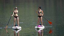 Stand Up Paddle Board Rental 
