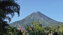 Costa Rica Package (Private)