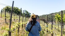 Malibu: Guided Vineyard Hike with Photo Stops and Wine