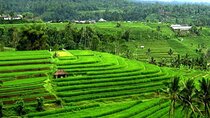 Full-Day Private Tabanan Tour in Bali