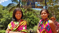 6-Hour Culture and Nature Tour in Embera Tribe - All Included