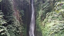 Private Tour from Leke-Leke Waterfall to Jatiluwih Rice Terrace
