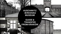 Guided Group Tour to Auschwitz-Birkenau from Krakow