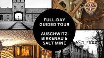 Full-Day Auschwitz-Birkenau and Salt Mine from Krakow