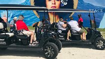 Small-Group Brewery Golf Cart Tour of Wynwood with a Local Guide
