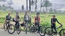 Downhill Cycling Tour through jungle and rice terrace meals