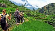 Hanoi- 2 Days Sapa moutain trekking with Local Guide and Homestay