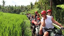 From Ubud : ATV QUAD Bike in Beautiful Ubud