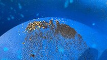 Gold Panning Activity at Mission Creek