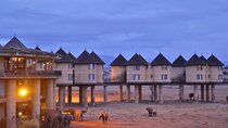 3 Days Safari Tour to Tsavo's Most Photographed Lodge