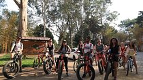 Coffee and Gastronomic Bike Tour in Antigua