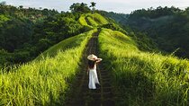 Ubud Countryside Tour: Campuhan Ridge Walk and Rice Terrace