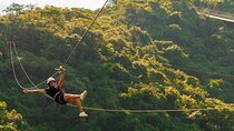 Zip Line, Mules Ride and Walk on the Hanging Bridge
