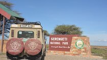 5 Days Arusha to Tarangire, Ngorongoro and Serengeti Safari