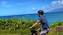West Maui eBike Island Explorer Full-Day Rental