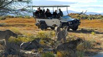 2 Day Inverdoorn Luxury Safari