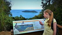 1-Day Cruise in Queen Charlotte Track & Kupes Trail Walk