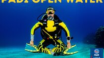 PADI Open Water Course in Costa Adeje