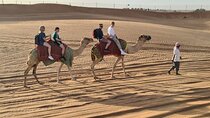 Dubai Sunset Camel Ride with Desert Safari