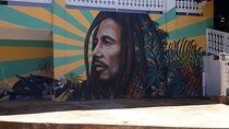 Bob Marley Nine Mile Sightseeing Tour from Ocho Rios