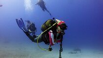 Scuba Diving Tour with Lunch & Roundtrip Transfer from Belek