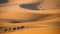 Private 3 Days Tour from Marrakech to Merzouga 