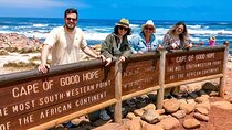 Private Tour from Cape Town to Cape of Good Hope and Cape Point