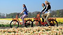 Keukenhof and Zaanse Schans: Windmills and Tulips Guided Day Tour