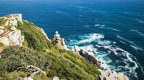 Cape Peninsula Tour 