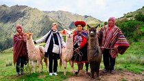 Best Day Sacred Valley Experience & Baby Alpacas - Private Tour